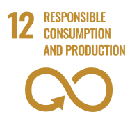 SDG_Icons_Inverted_Transparent_WEB-12 SDG_Icons_Inverted_Transparent_WEB-12